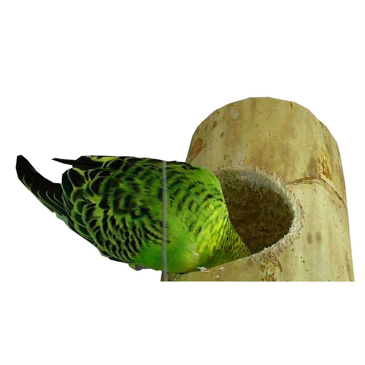 Bird Playnest B596133