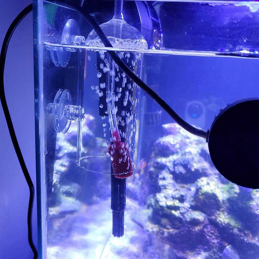 Aquarium Air Oxygen Bubbler Glass Cup with Water Tube W607