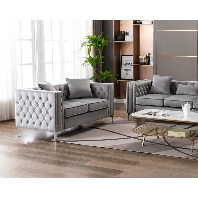 2 Piece Velvet Loveseat and Chair Set in Gray H49379