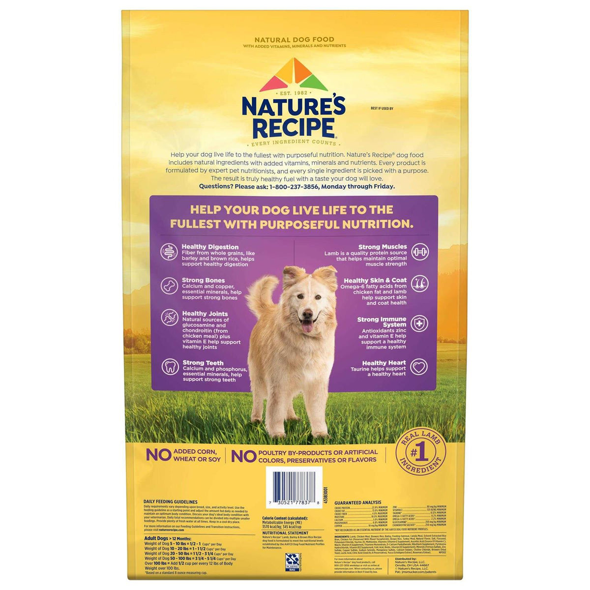Adult Dry Dog Food Y6122