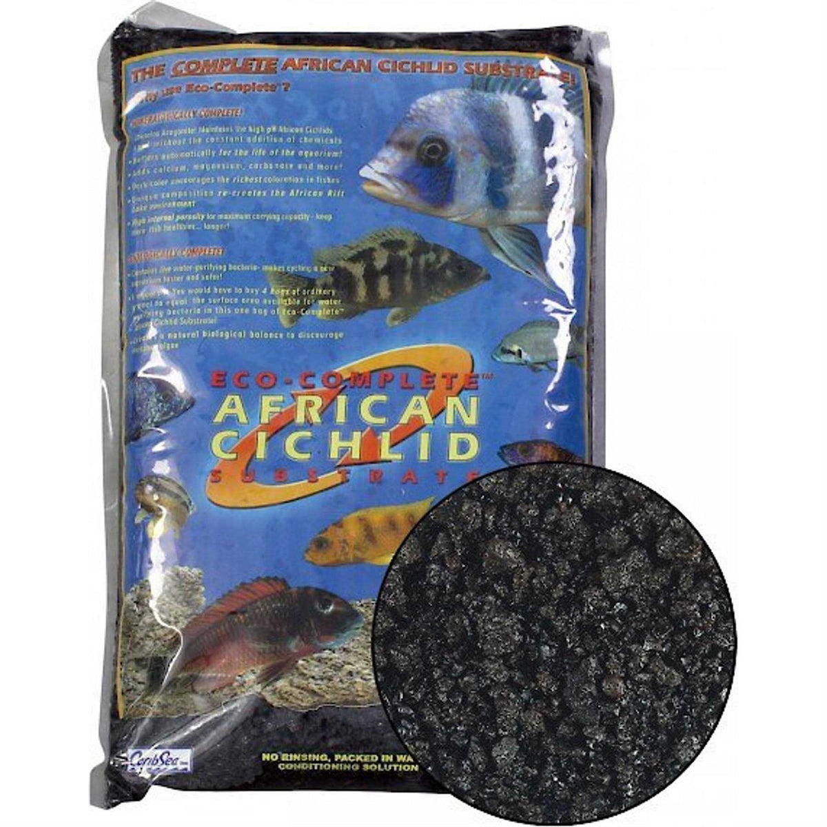 African Cichlid L851062