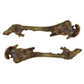 6 x 6 in. Smoked Knuckle Bone N50710