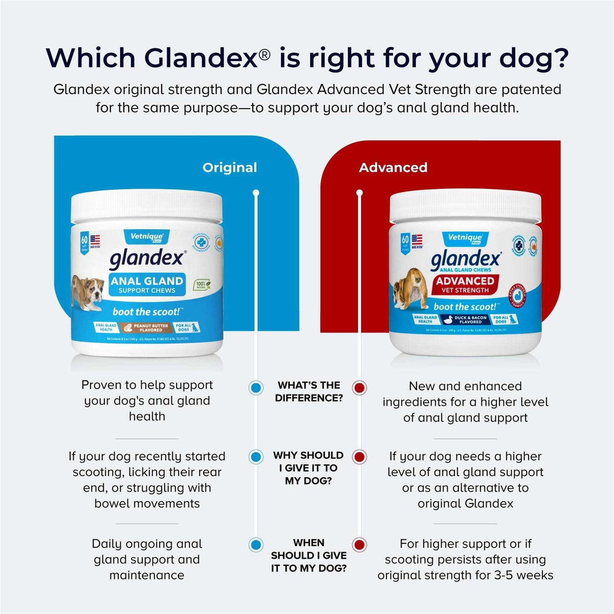 Anal Gland Soft Chews for Dogs B17699