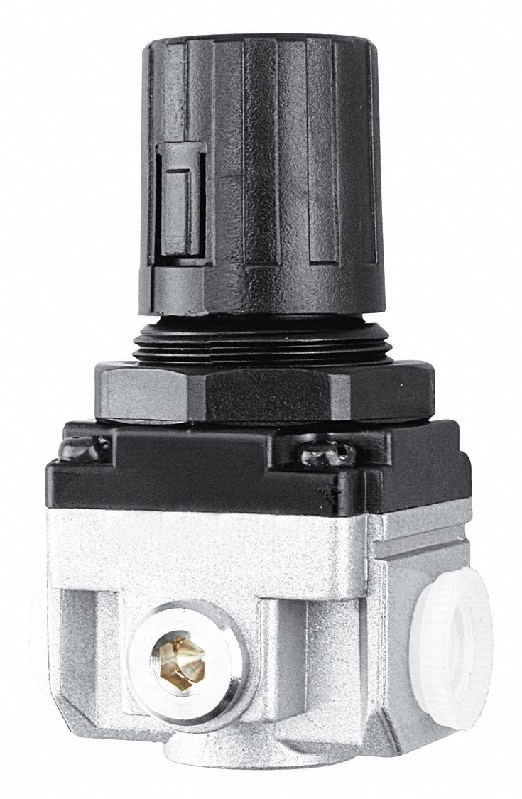 1/4in NPT Air Regulator W293914