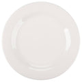 9.75 in. Medium Plate W97893