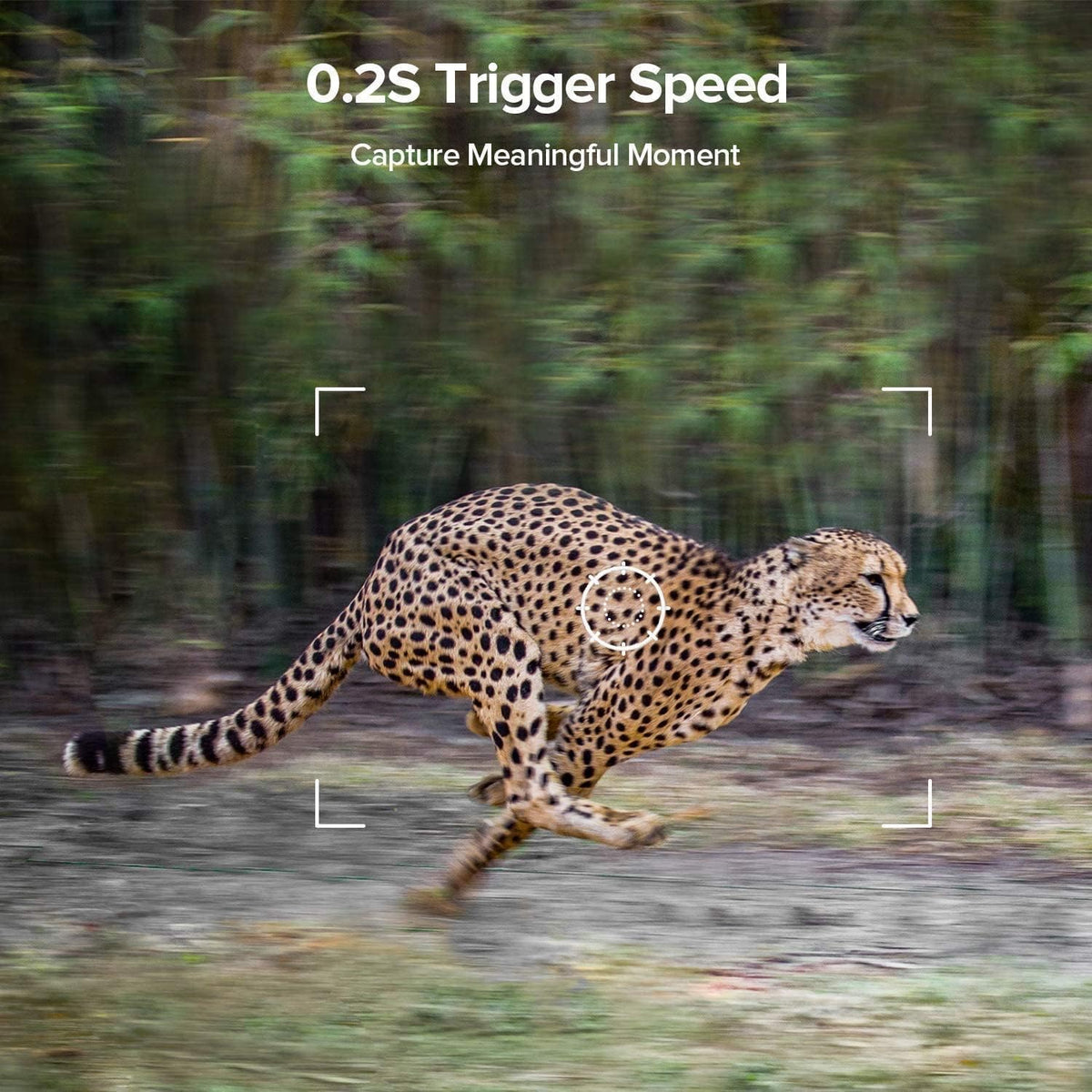 20MP Trail Camera with 120° Wide-Angle Motion Sensor and IP66 Waterproof H2810