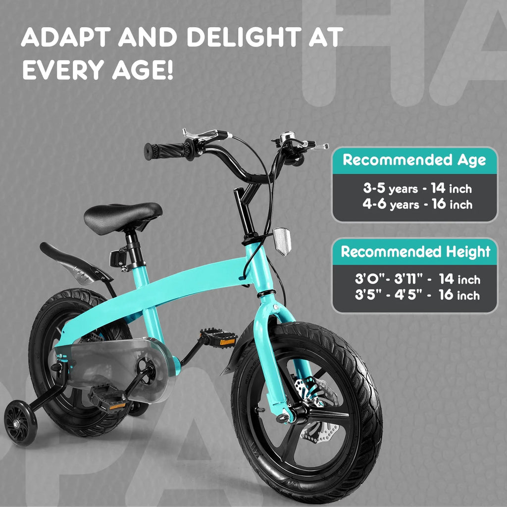 16 inch Boys Bike with Training Wheels and Disc Brake F320139