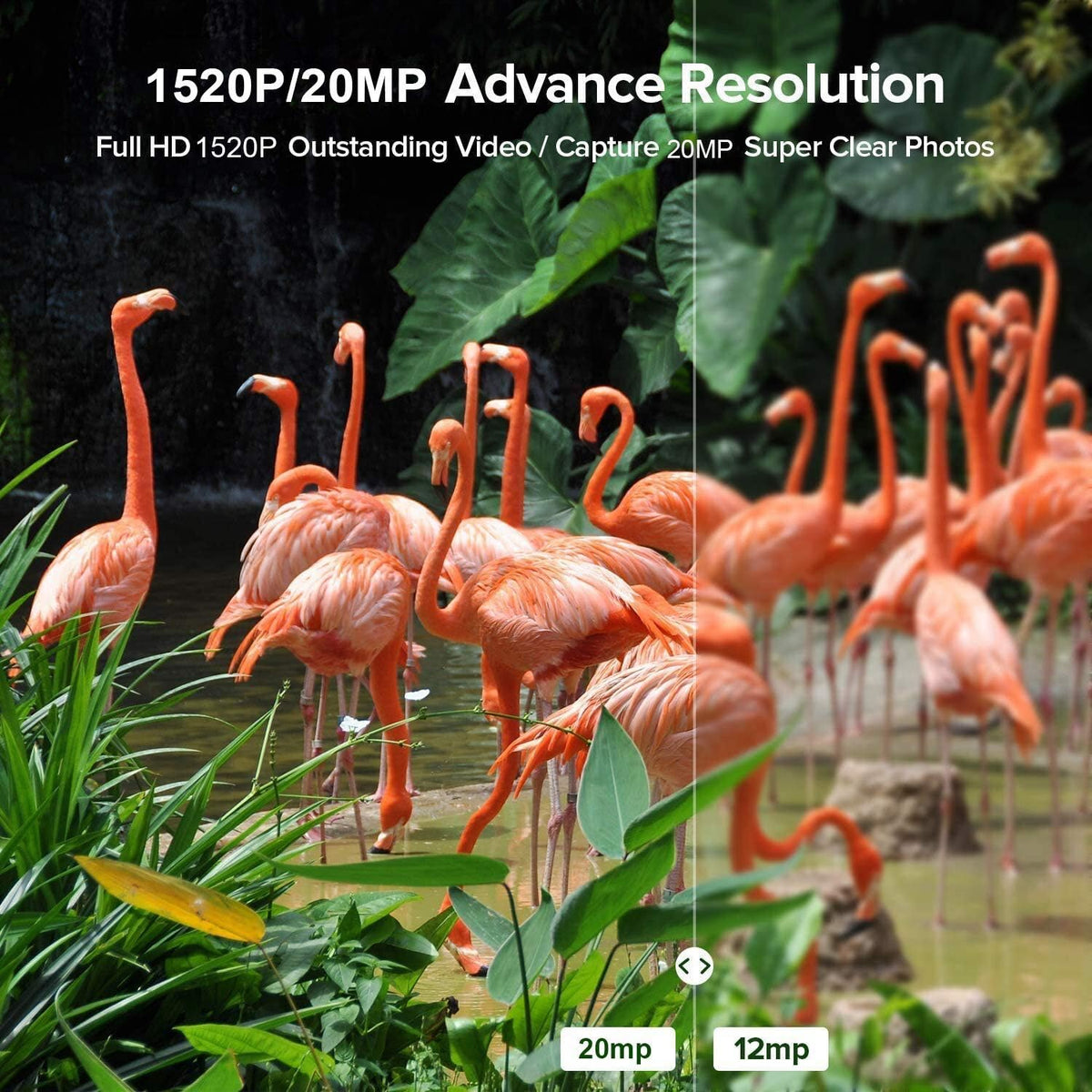 20MP Trail Camera with 120° Wide-Angle Motion Sensor and IP66 Waterproof H2810