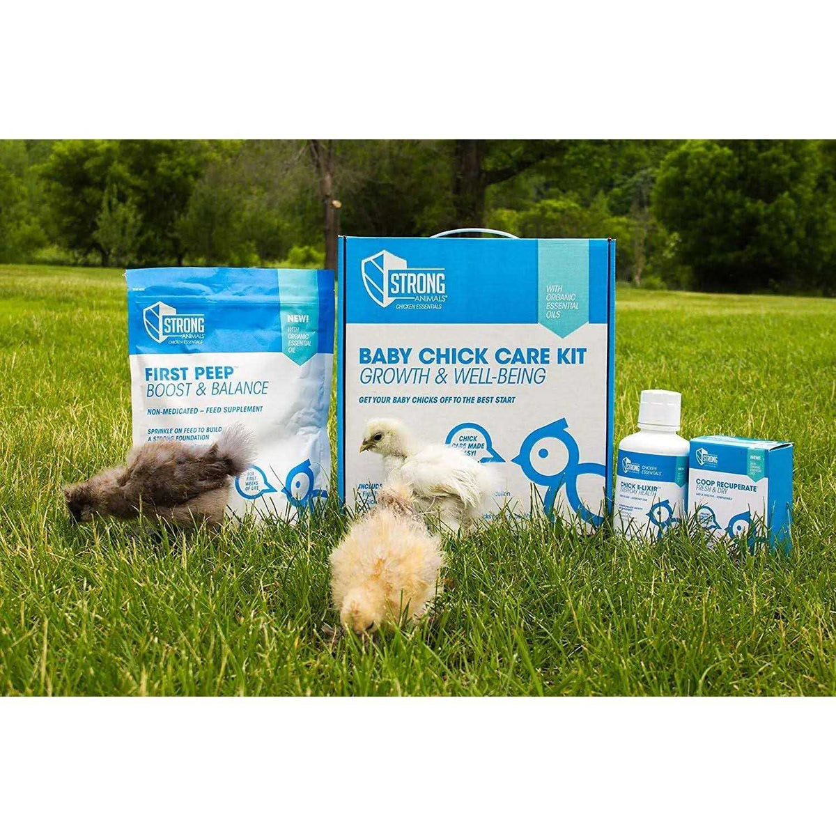 Baby Chick Care Kit H689945