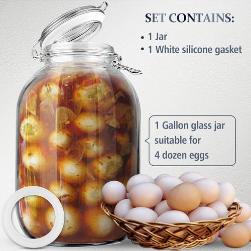1 Gallon Glass Jar with Airtight Lid I220