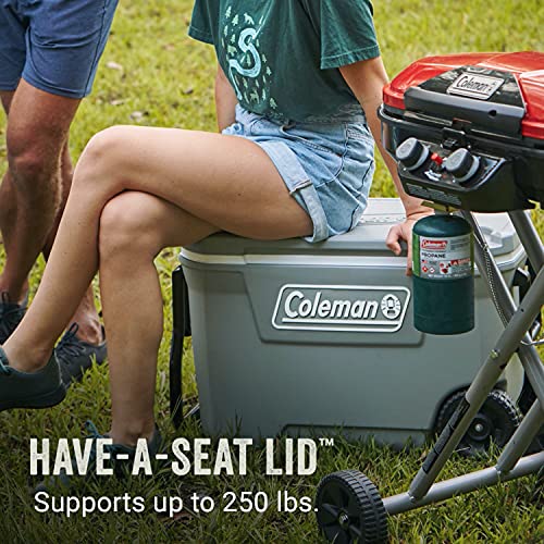 65-Quart Insulated Portable Rolling Cooler L43282