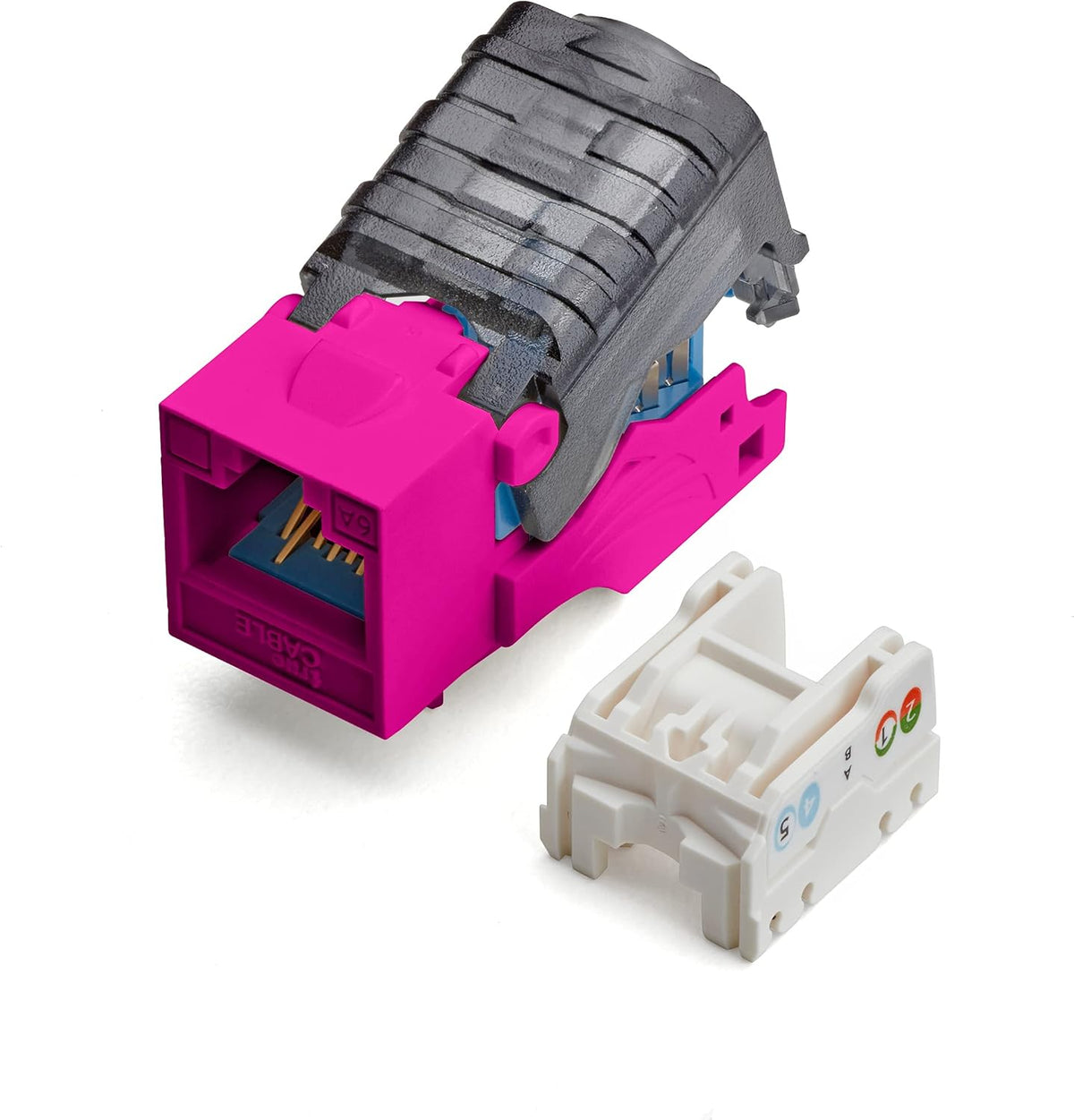 Blue Cat6A Toolless Keystone Jack 12 Pack O931