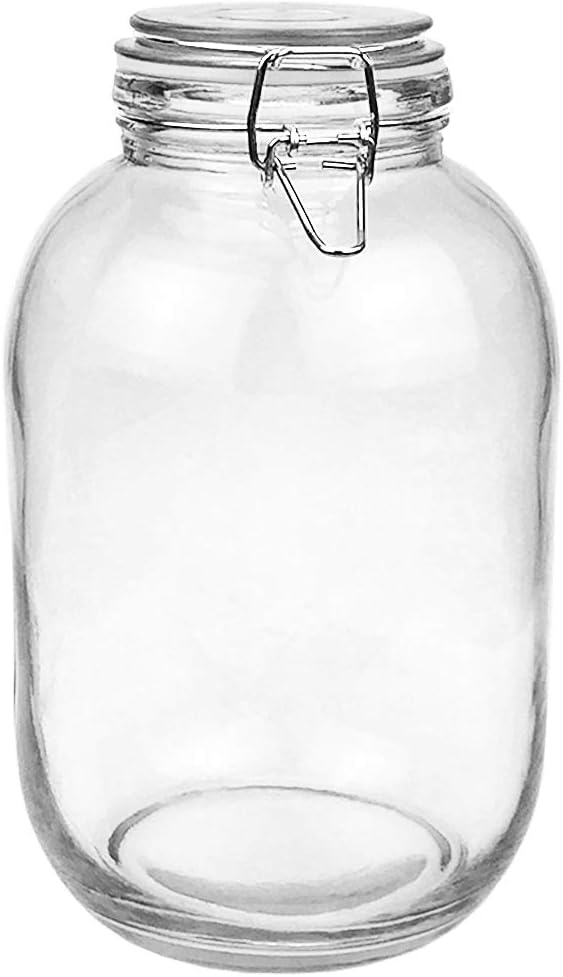 1 Gallon Glass Jar with Airtight Lid I220