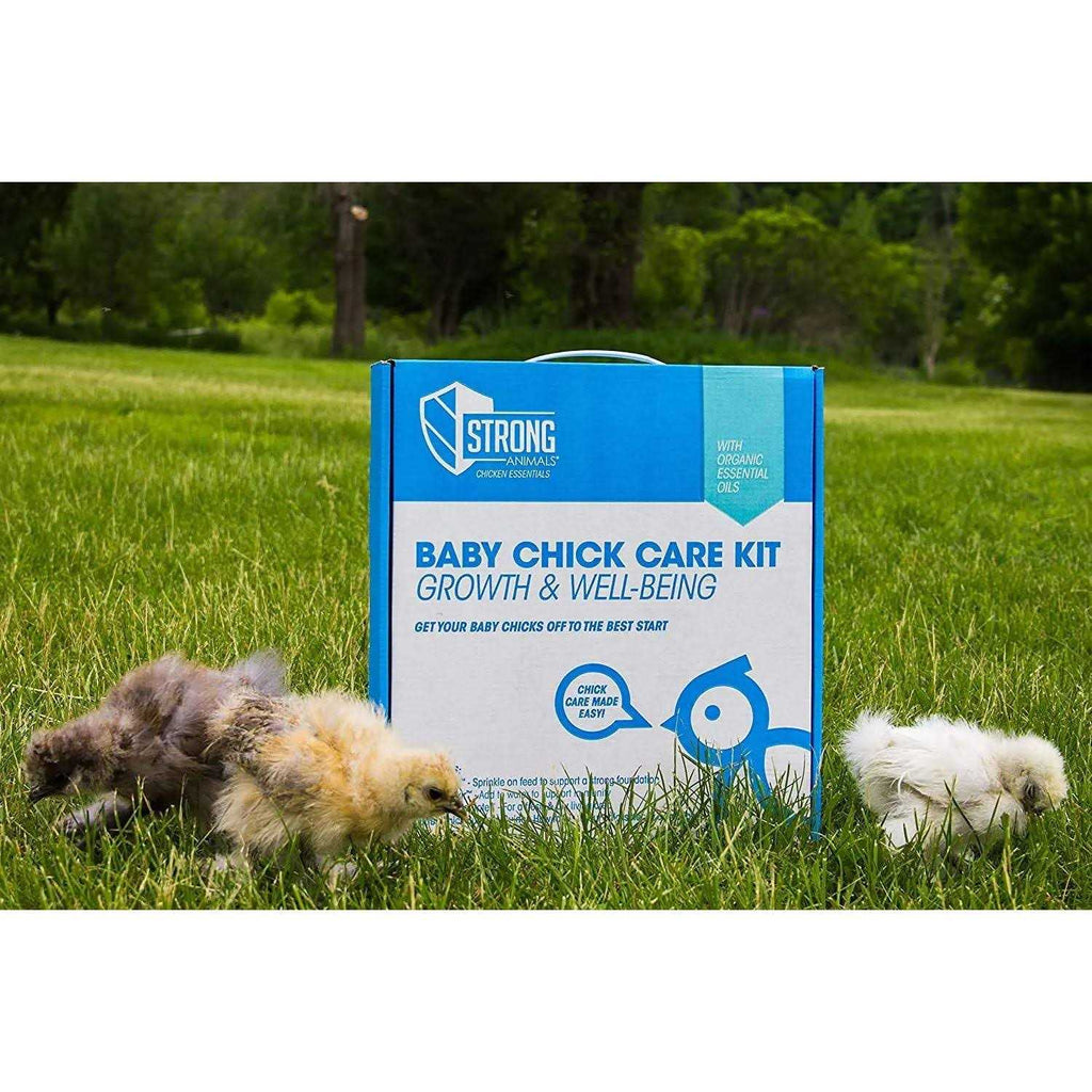 Baby Chick Care Kit H689945