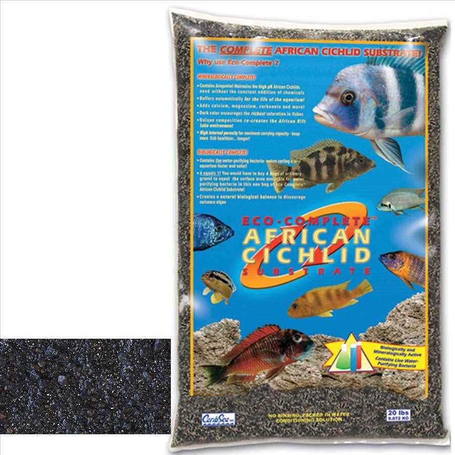 African Cichlid L851062