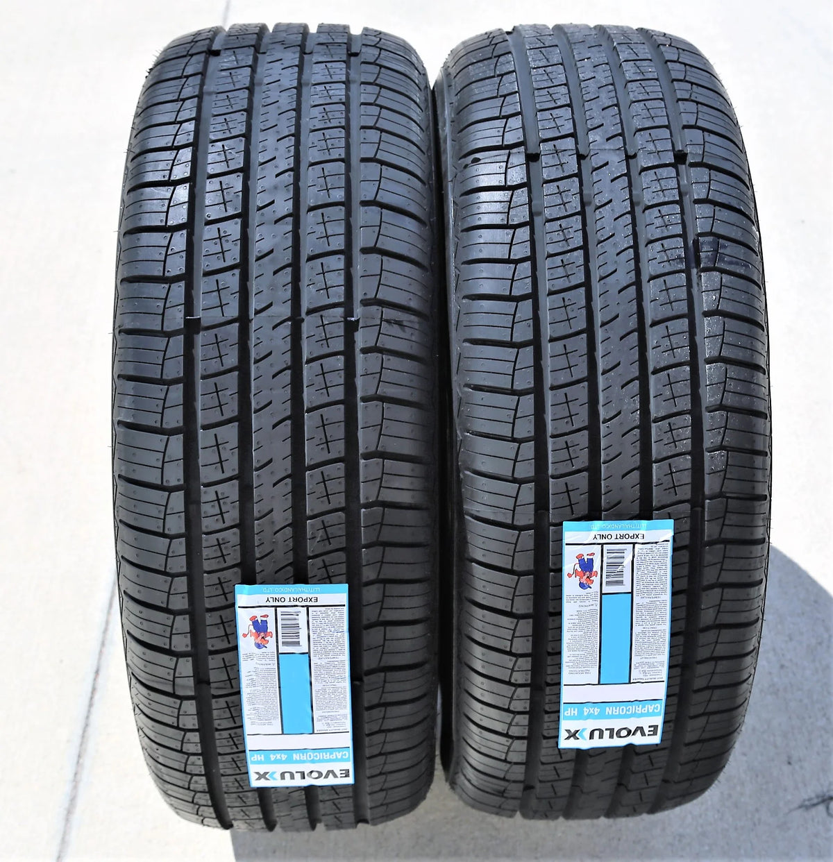 255/60R19 109H Performance Tire C99917