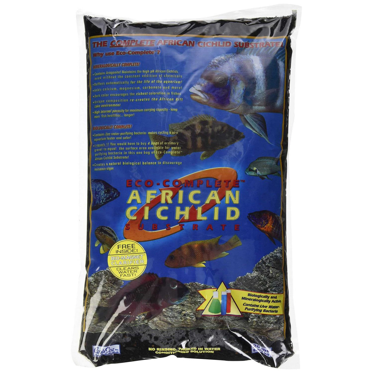 African Cichlid L851062