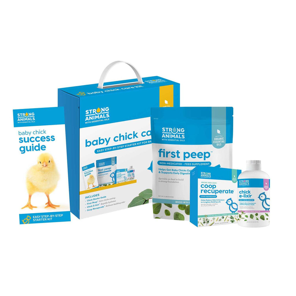 Baby Chick Care Kit H689945