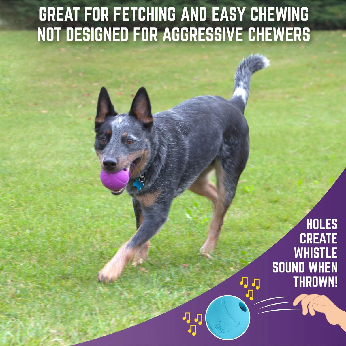 3 Pack Durable Natural Rubber Fetch Balls G84741