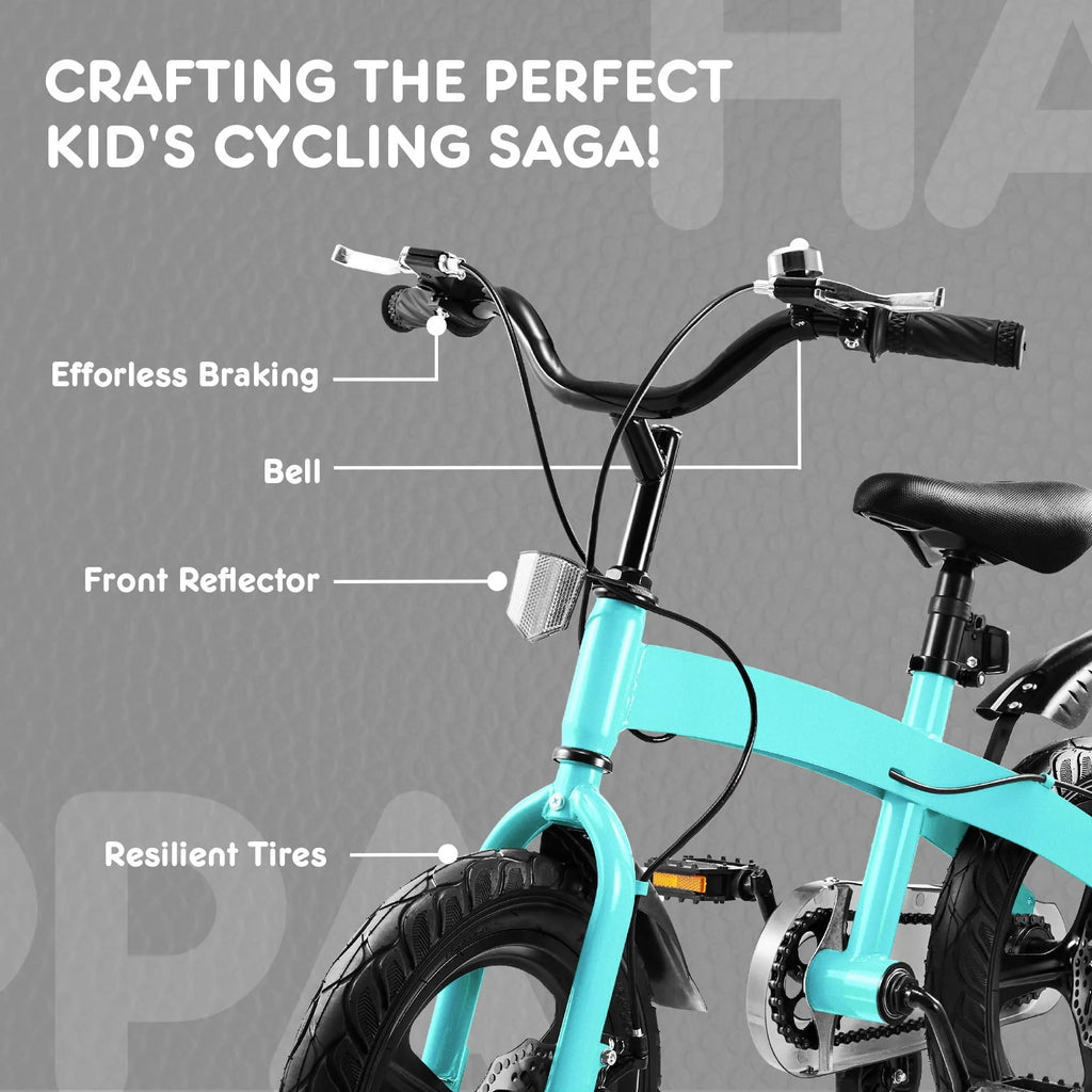 16 inch Boys Bike with Training Wheels and Disc Brake F320139