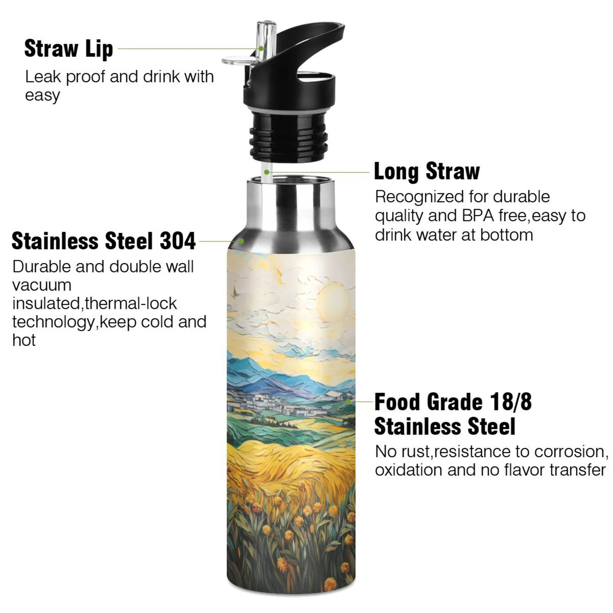 20 oz Insulated Stainless Steel Water Bottle with Straw Lid N2586